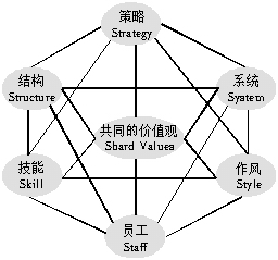 7S 7S原则/模型